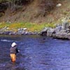 Stillwater Cast
